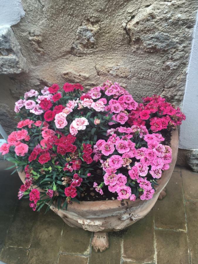 Casa Delle Conce Otel Orvieto Dış mekan fotoğraf